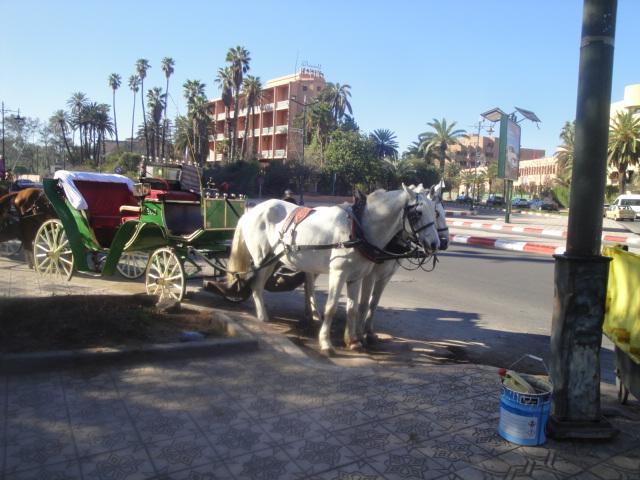 La Fontaine Apartment Marrakesh Exterior photo